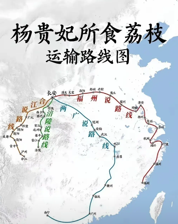 从岭南运荔枝到长安，本质上是对帝国神经系统的测试。

皇帝投了那么多钱，修了那么