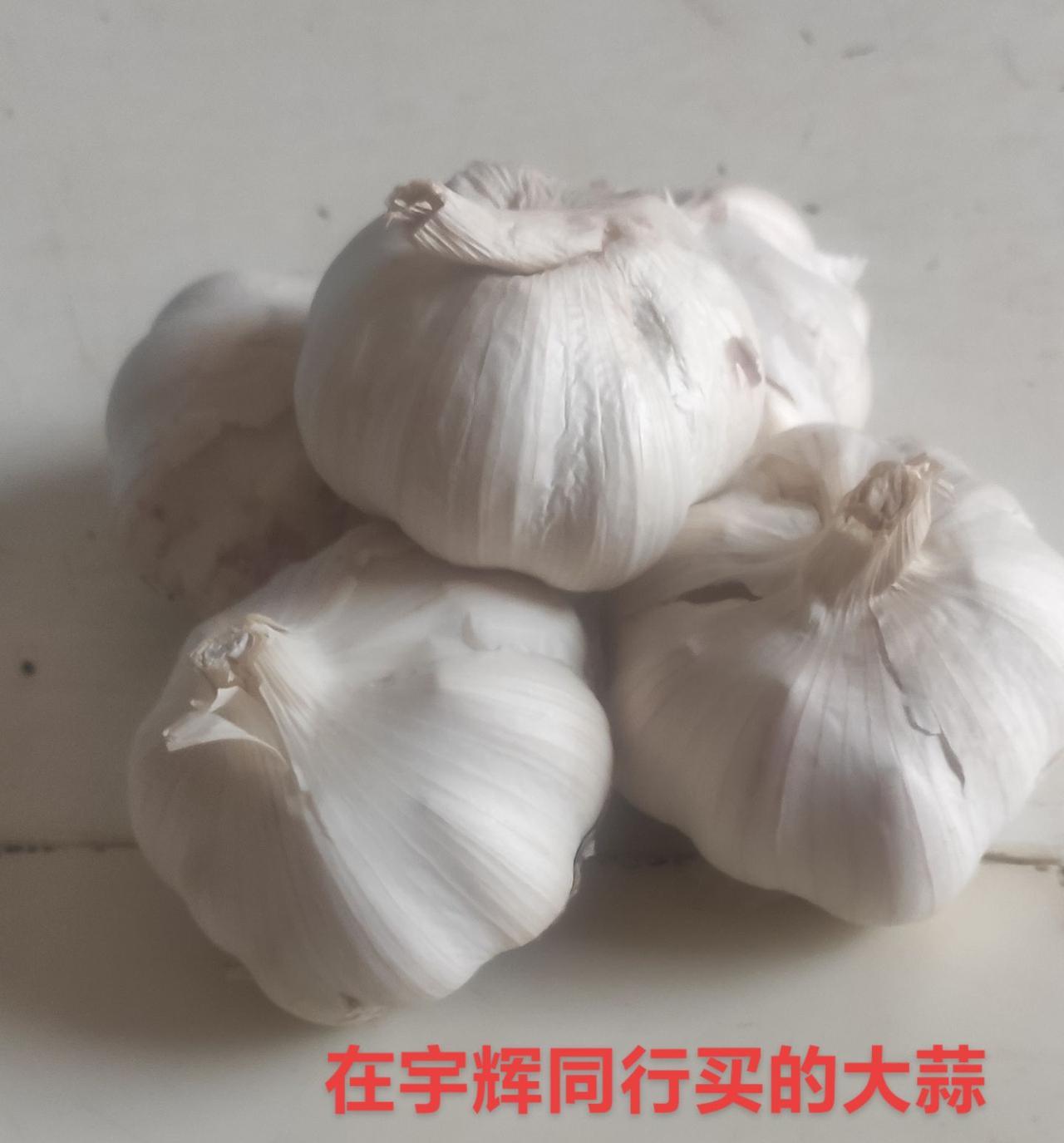 #宇辉同行必有收获 #大蒜头 #种草计划