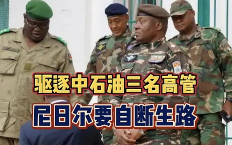 尼日尔的中石油人员被驱逐，赞比亚的中企人员被抢劫，甚至导致了伤亡。

请注意，是