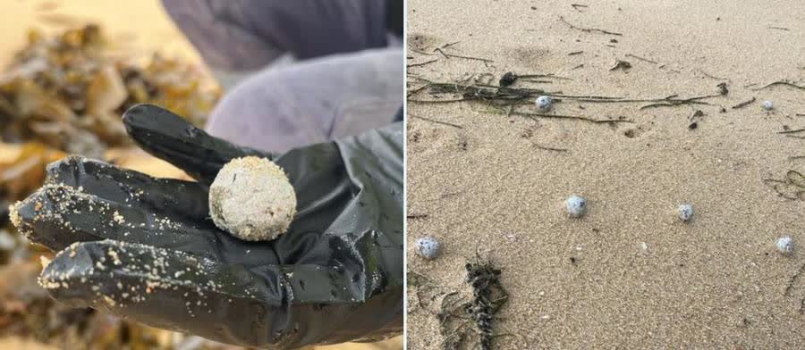 澳大利亚多处海滩出现大量不明成分球状垃圾
澳大利亚新南威尔士州中央海岸地区政府