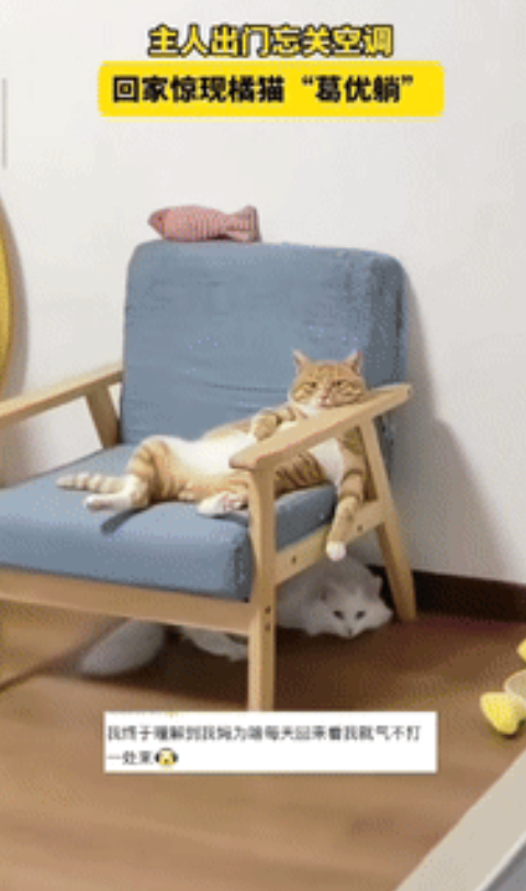 “笑岔气了！”山东一女子早上出门太着急，忘关空调了，晚上回家一打开灯，发现自己养