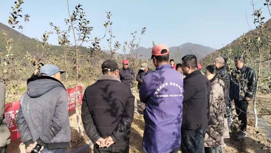 从田间到云端——记宝鸡职院驻村干部罗洋