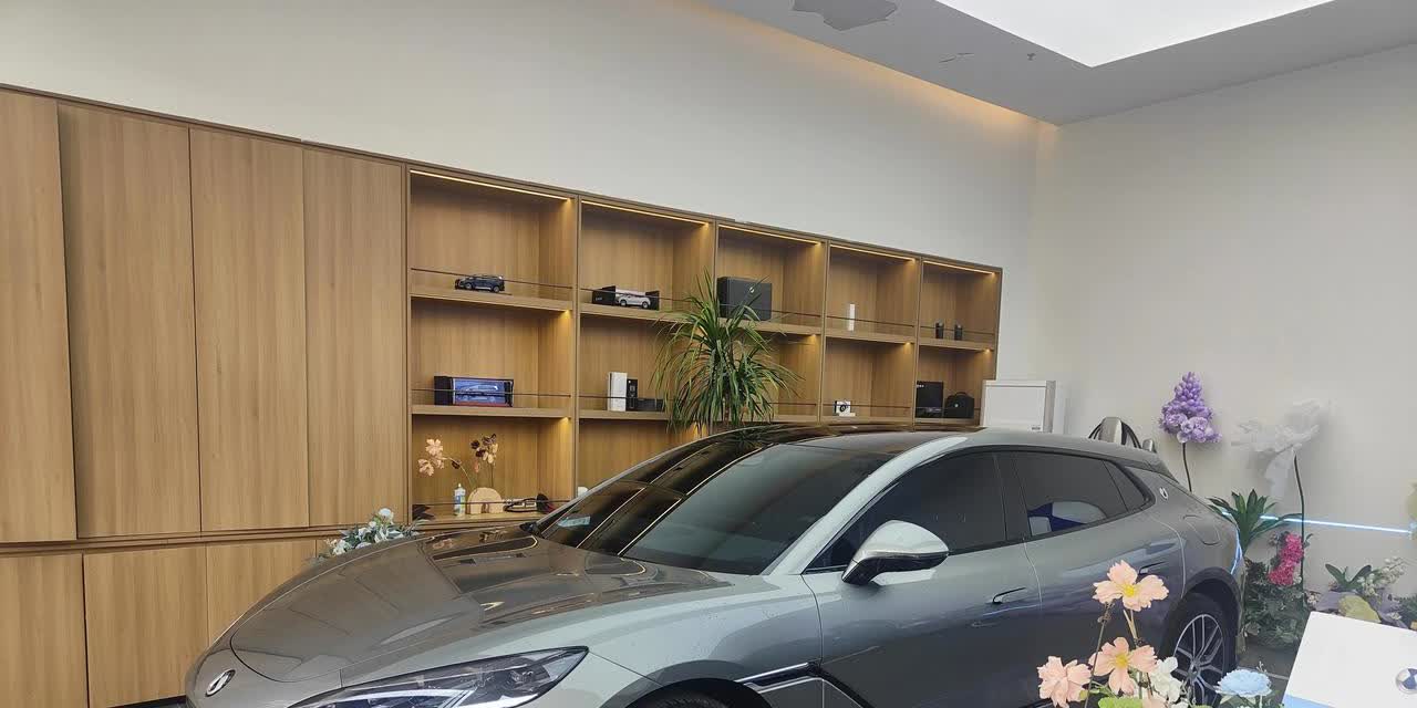 虽然喜欢阴阳腾势，但我真买
看了一年的车，试驾了基本所有二十万以上的新能源车，
