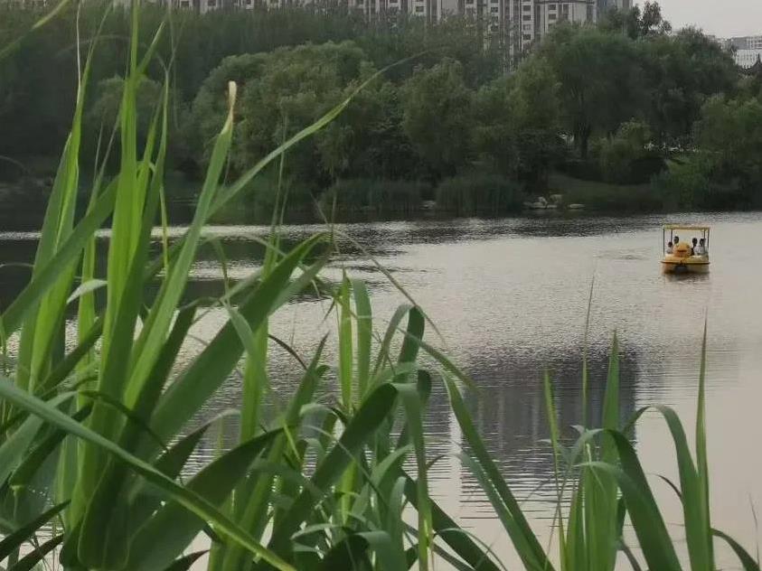 人一旦到了60岁后，要想有一个幸福的晚年，一定要记住这几个“不要”。
一，不要逞