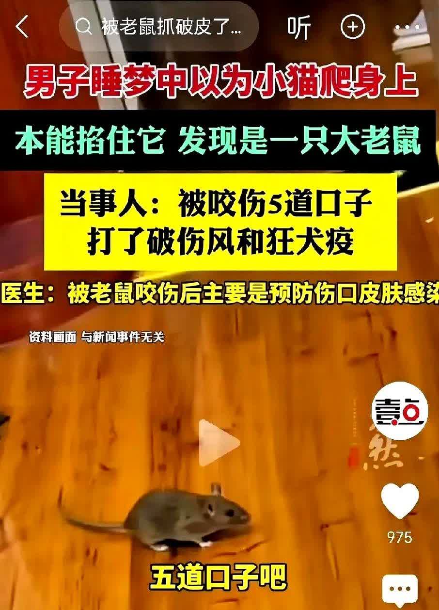 太吓人了！

江苏无锡，男子在睡梦中，听到床头有东西爬过，以为是小猫，本能掐