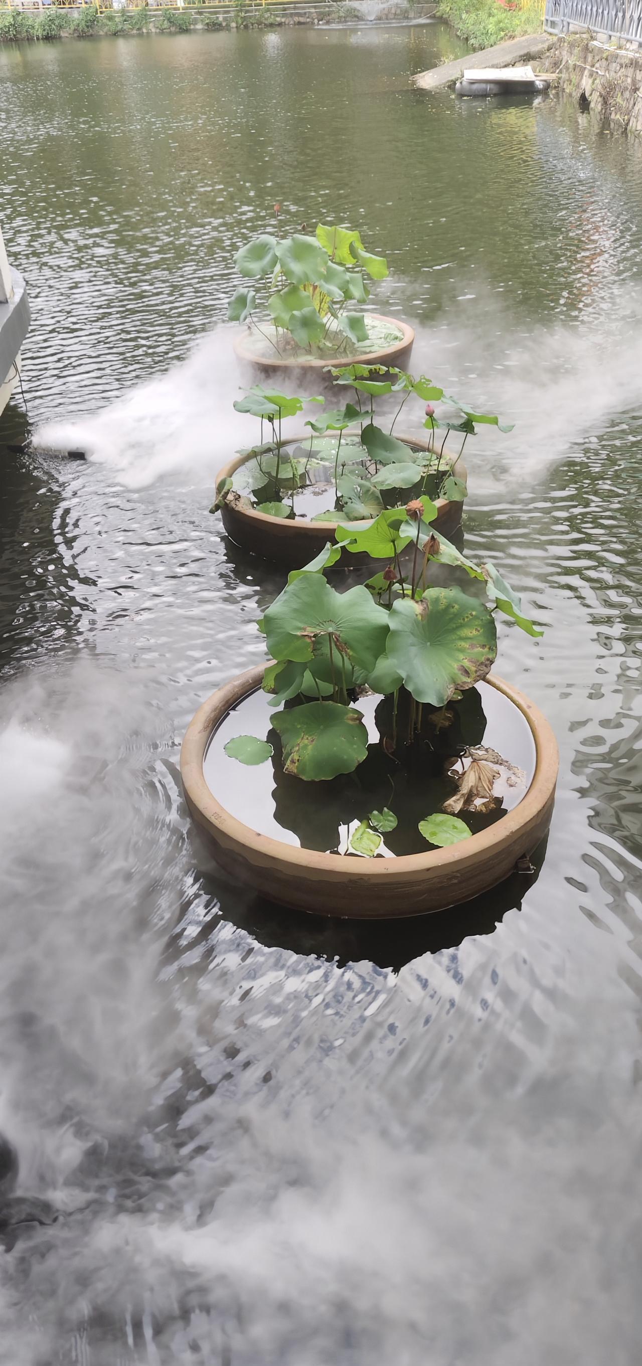 现在，外面下雨了，还打着雷。
晚饭后散步的时候（傍晚六点），天气还很好，路上的行