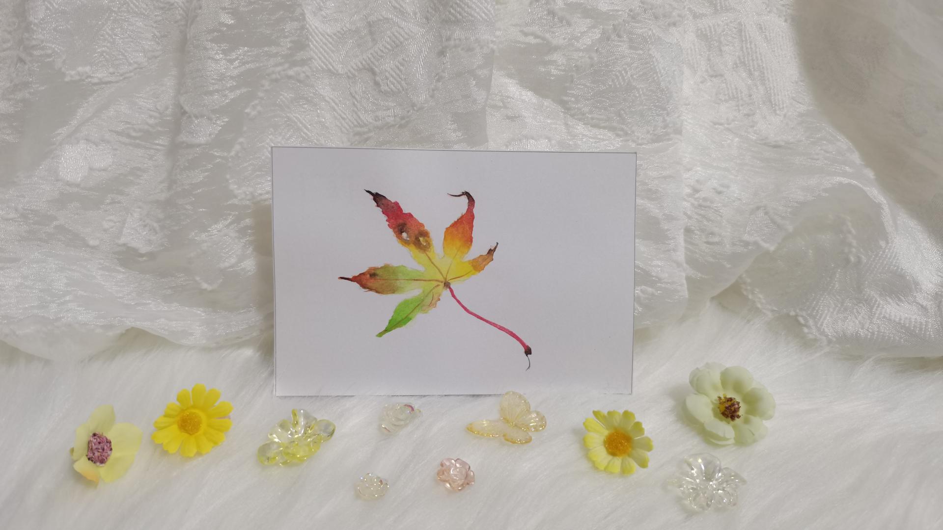 47 枫叶（绘画 水彩 果花甘06）