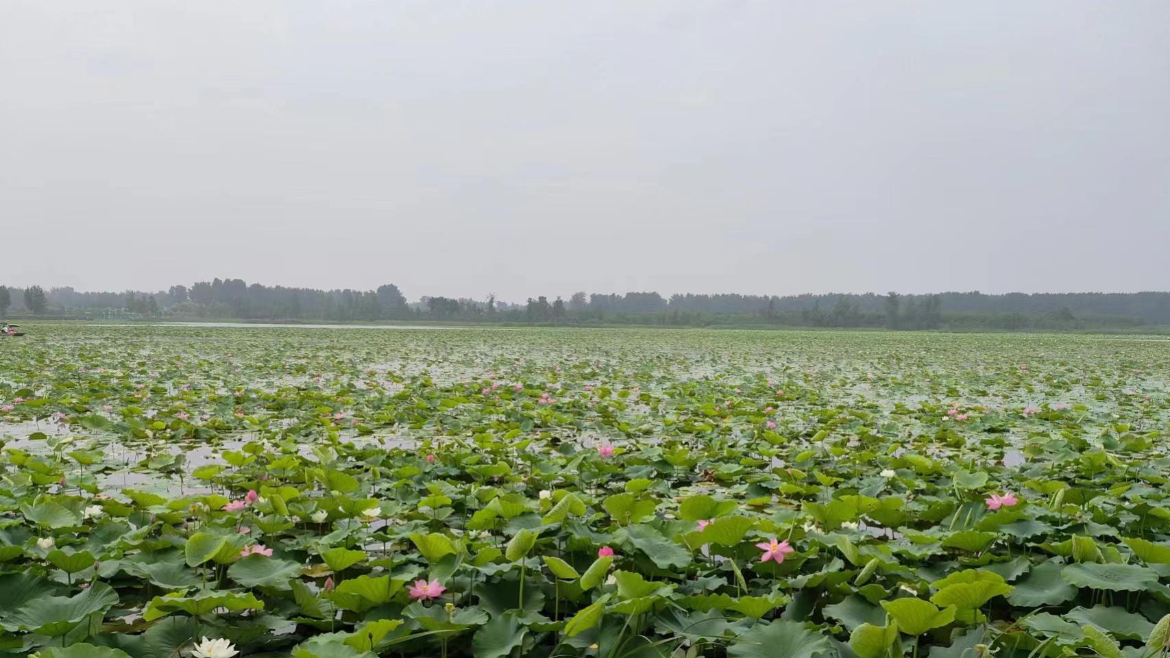 人，能空，是一种境界（深度好文）