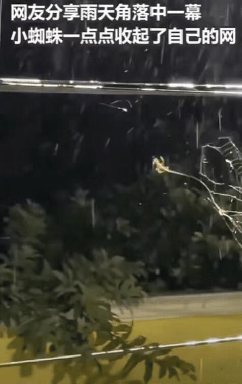 解释不清了！由于突降大雨，女子赶紧去关窗，不料，却发现窗户边有东西在动，仔细一看