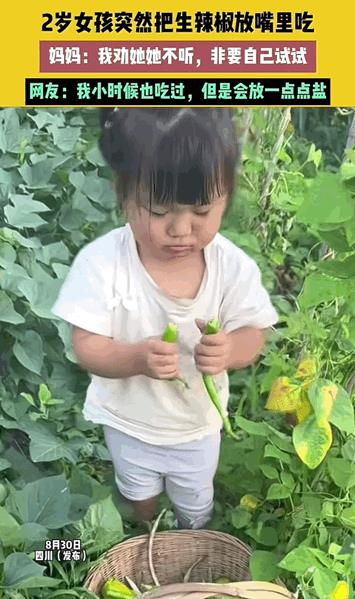 这才是童年该有的样子！四川，两岁女孩来到奶奶的菜园里，趁大人不注意的时候摘了根辣