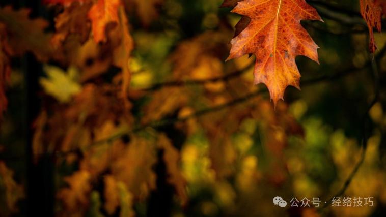 当你不吃这些，脾胃基本就恢复了！这6个伤脾胃的“坑”，建议避开！