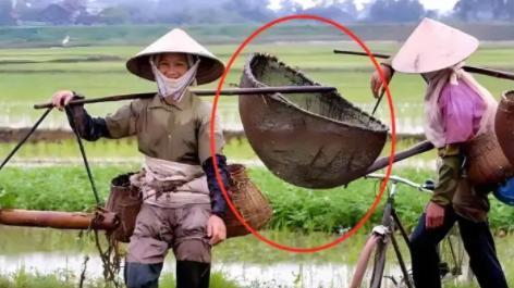 凭什么越南面积只有中国三十分之一，为啥越南还能出口大米？况且越南地形狭长多为山地