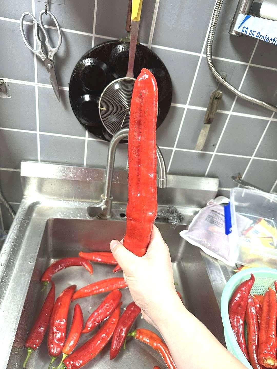 这大辣椒，长得真带劲😂😂，直接一步到位，直上云霄