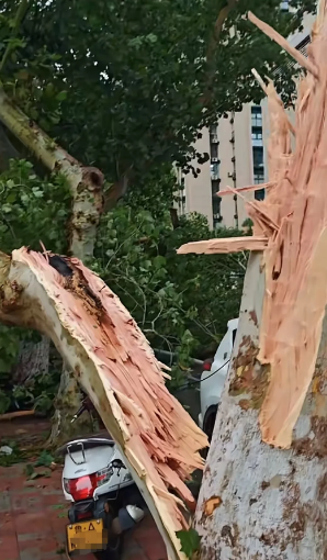 7号下午济南下的这一场大暴雨可是够了劲了，本想着天那么热下点雨凉快凉快，不成想这