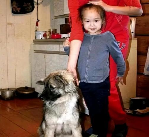 2014年，俄罗斯一3岁小女孩由于贪玩迷失于原始森林，救援队找了十多天都没能发现