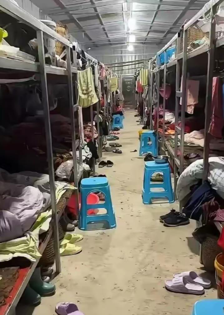一晚给你1万，你会住吗？
