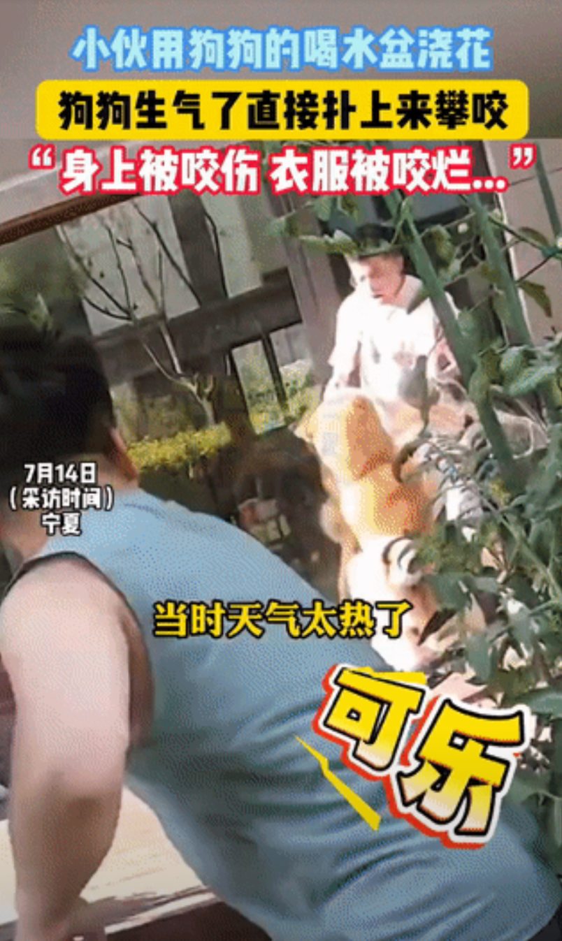 宁夏，一小伙本来只是想给院子里的小花浇点水，顺手拿起狗狗喝水用的盆，结果家里的秋