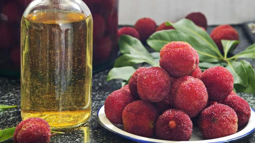 杨梅季短泡酒香，把它做成杨梅酒，好喝又养人，奶奶的独家秘方