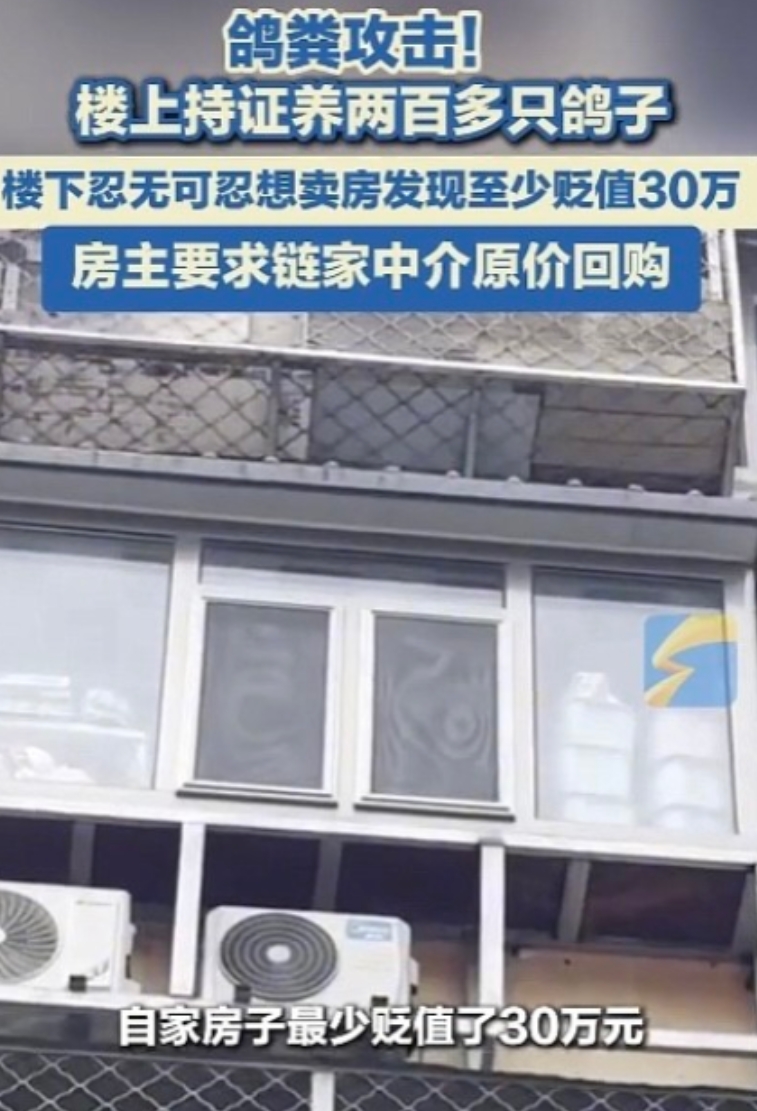 北京，男子7年前花235万买下的房子，却被楼上养的200多只鸽子搞得无法正常生活