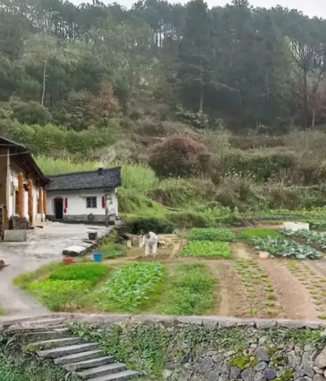 经过一段时间的深思熟虑，我老公认为老家的房子也没有必要建了，原因如下：
1.我们