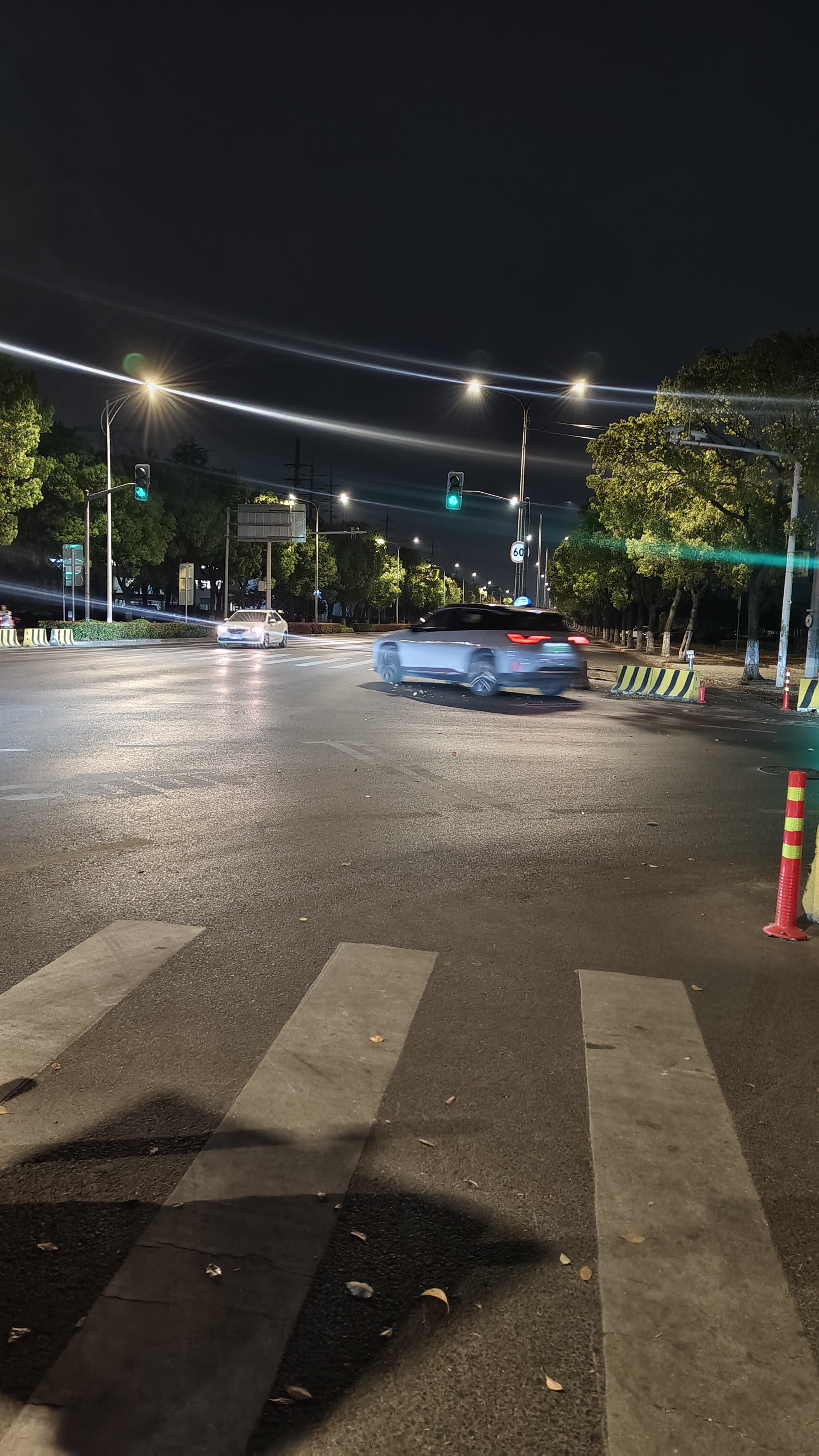 青色的爱情，最终的白头