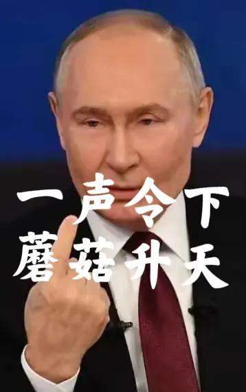 普京跟西方树敌了！
直接亮底牌：敢动就种蘑菇！
多纳休彻底踩了俄罗斯底线，说要以