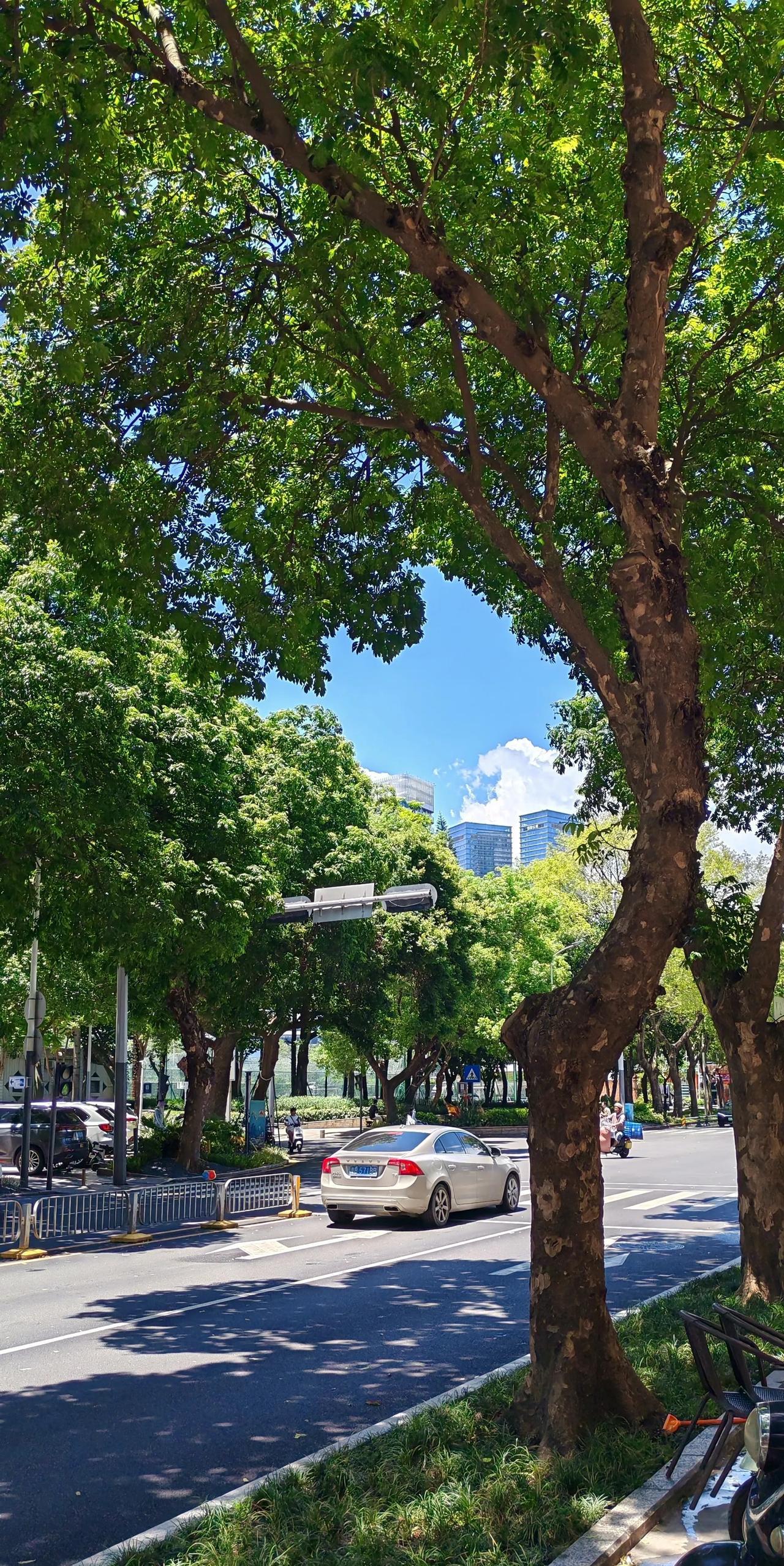 这是我听过关于出轨的最好的理由。
某些男人或者女人之所以出轨，是因为他们的妻子或