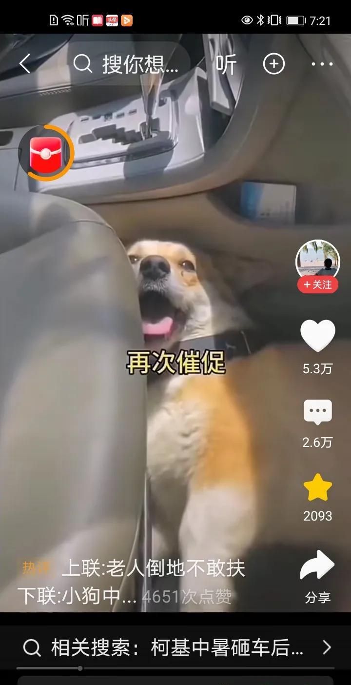 车主人忘记了车里边的狗子，锁上车门办事去了。
天气的温度越来越高，车内的温度也随