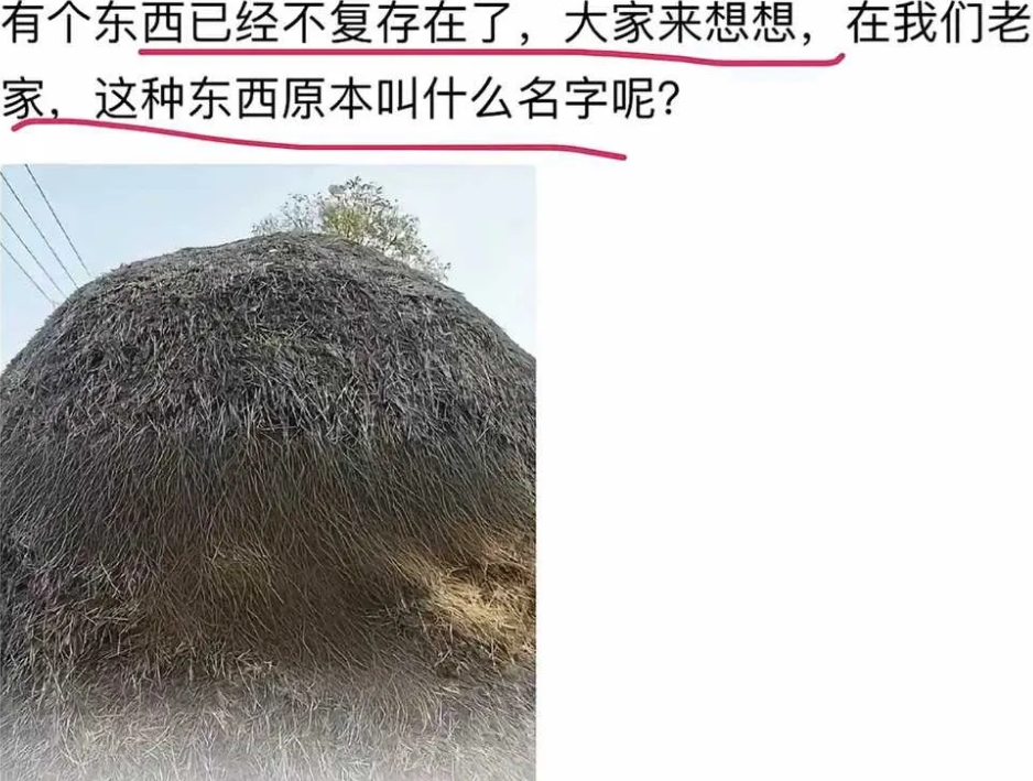 这种东西原本叫什么名字呢?