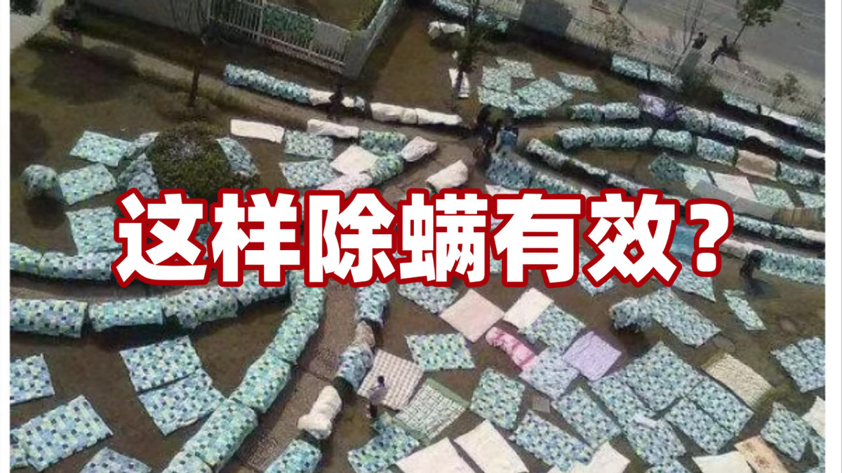 除螨仪排行第一名？热门除螨仪品牌排行榜T10分享！干货满满！