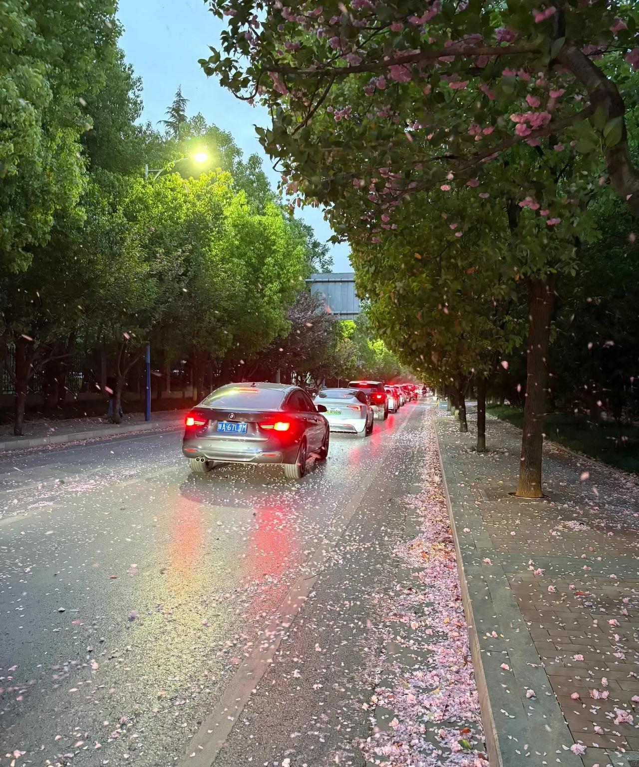 站在人生中场，  
突然发现：  
那些曾彻夜长谈的闺蜜，  
早已散落在不同的