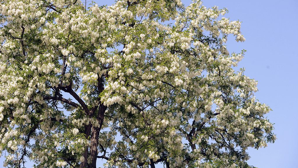 冰冷寒夜我带500块钱上儿子门送爱心，却热脸贴了冷屁股! 心寒后翻脸，结局我很喜欢!