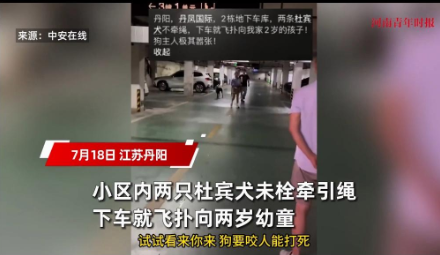 遛狗不牵绳，是缺德之人。

某小区两条杜宾犬未牵绳，下车就飞扑两岁幼童。

这真