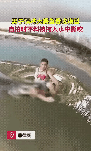 鳄鱼不是模型，拍照男子被咬惨了











天呐！这简直是现实版的“与