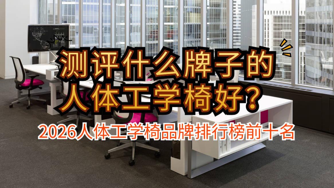测评什么牌子的人体工学椅好？2026人体工学椅品牌排行榜前十名