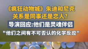 《疯狂动物城 2》导演回应朱迪尼克关系：灵魂伴侣友情还是爱情？