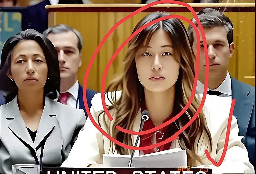 美国想利用华裔攻击中国











美国找了个混血的副代表，想让她攻击