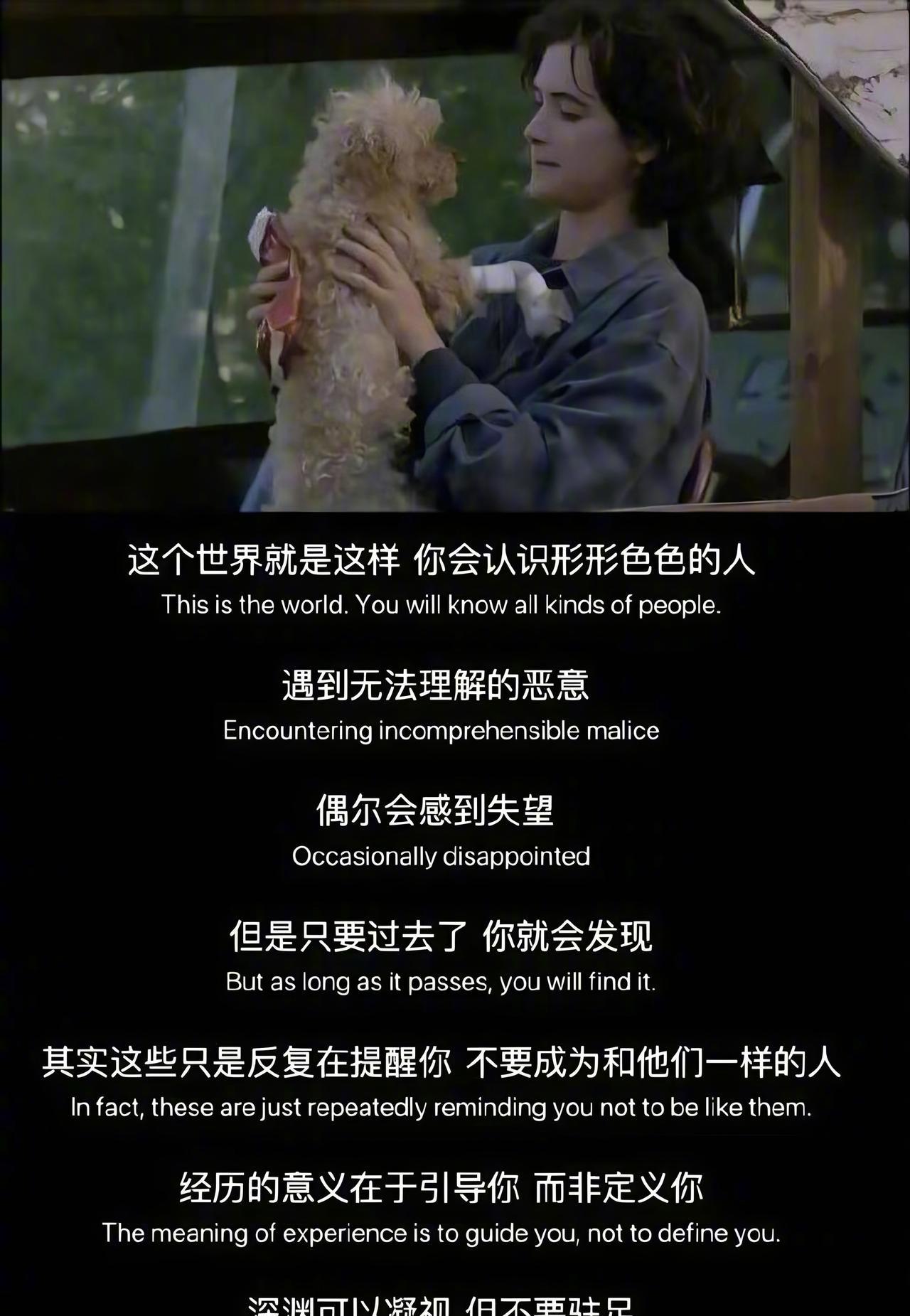 经历的意义在于引导你 而非定义你