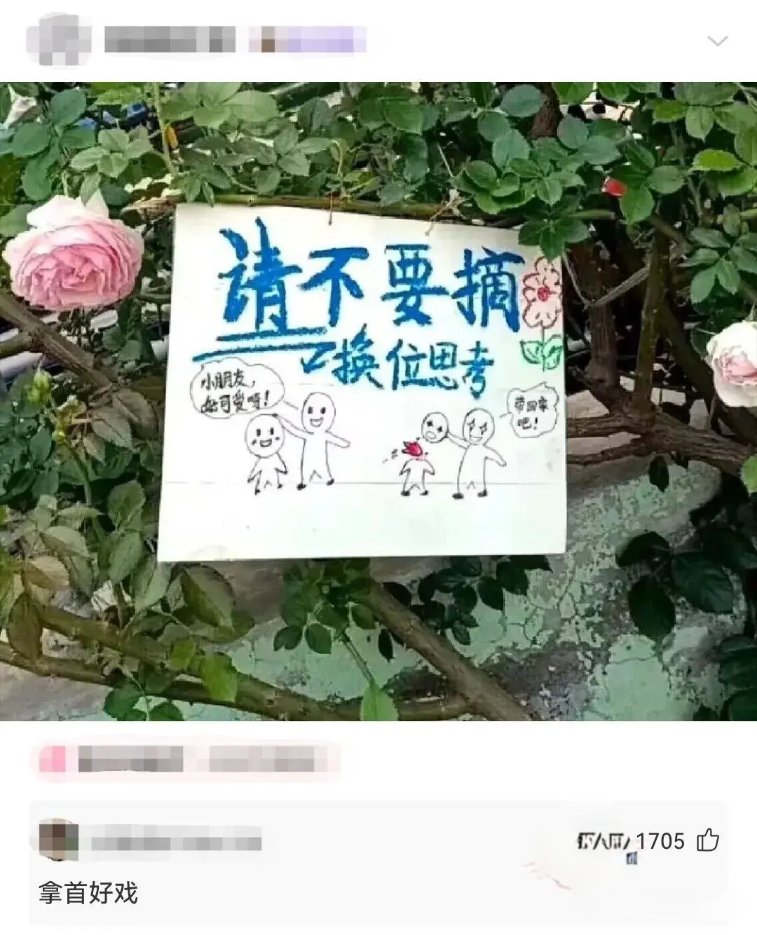 这“请不要摘 换位思考”的告示牌太有意思，卡通小人仿佛在上演劝诫小剧场。本以为是