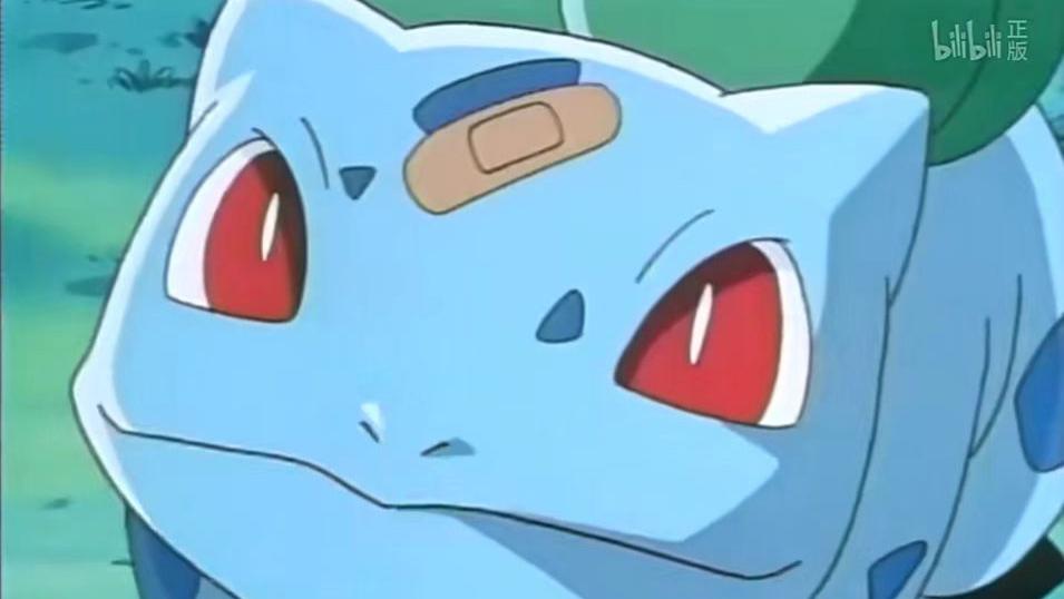 妙蛙种子：要怎样活下去，是自己选择的自由