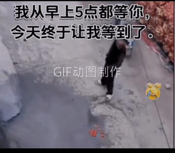 这户人家估计是生气了，才这样“守株待兔”的。
小伙子可能在这里是头一次，够倒霉的
