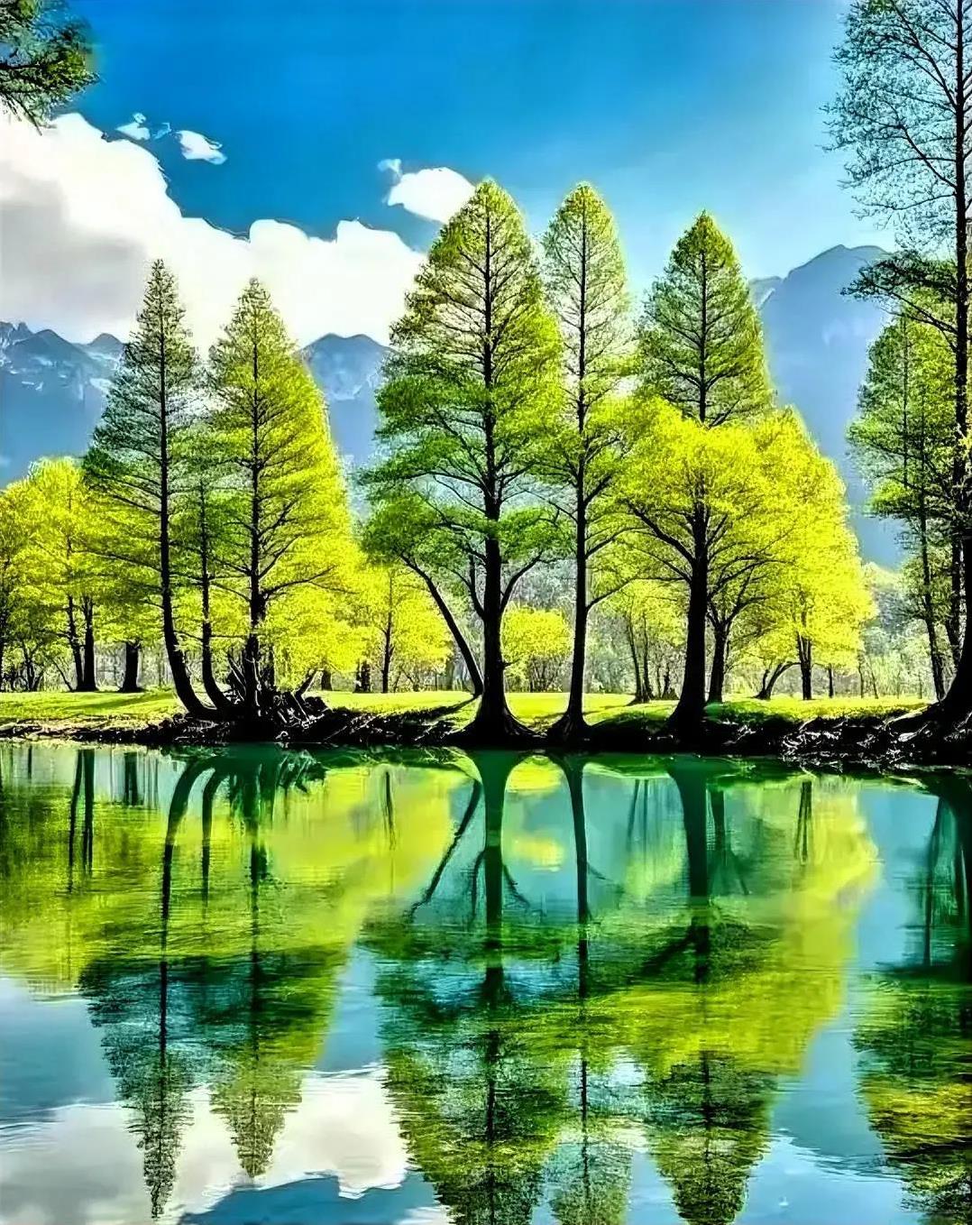 很通透的一段话：