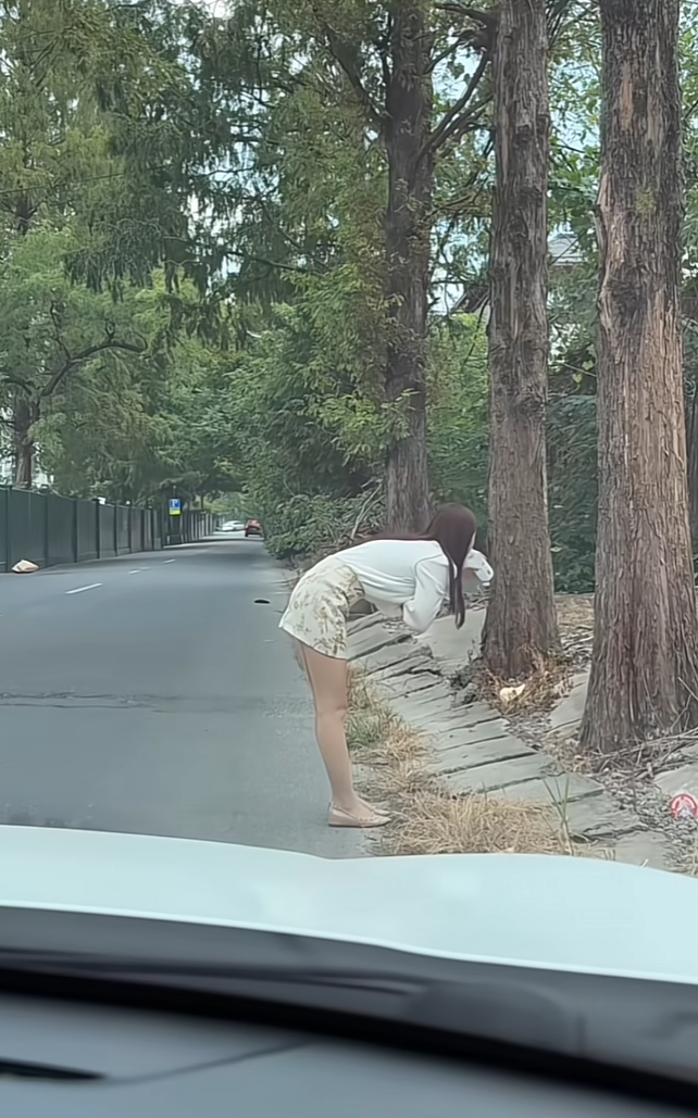 是电车吧！我一坐电车就会吐，油车不会