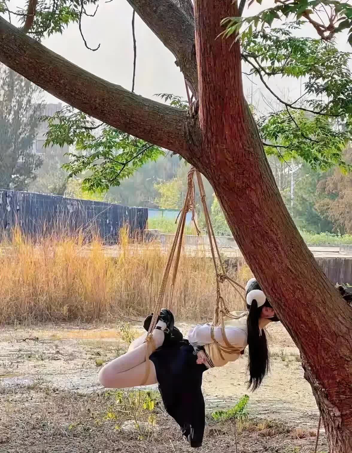 如果你在野外看到这一幕会怎么做？

是第一时间报警还是赶紧先上去把人解救下来