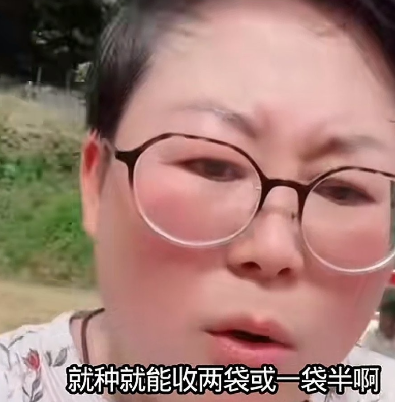 玉酱在日本家里，秋收结束了。过几天带着山口就回中国。玉酱家今年水稻大丰收，收了2