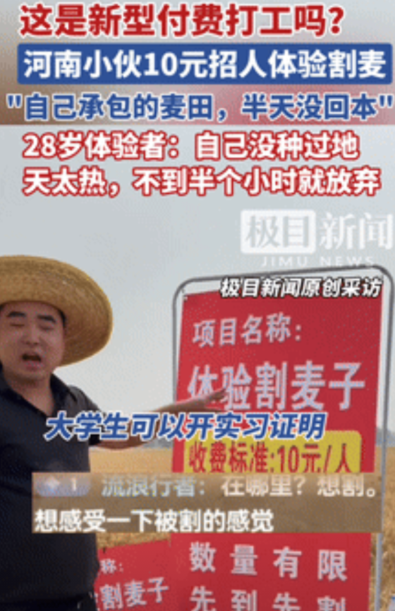 “笑死我了！”河南小伙突发奇想，搞10元/人体验割麦子活动，大学生还能开实习证明