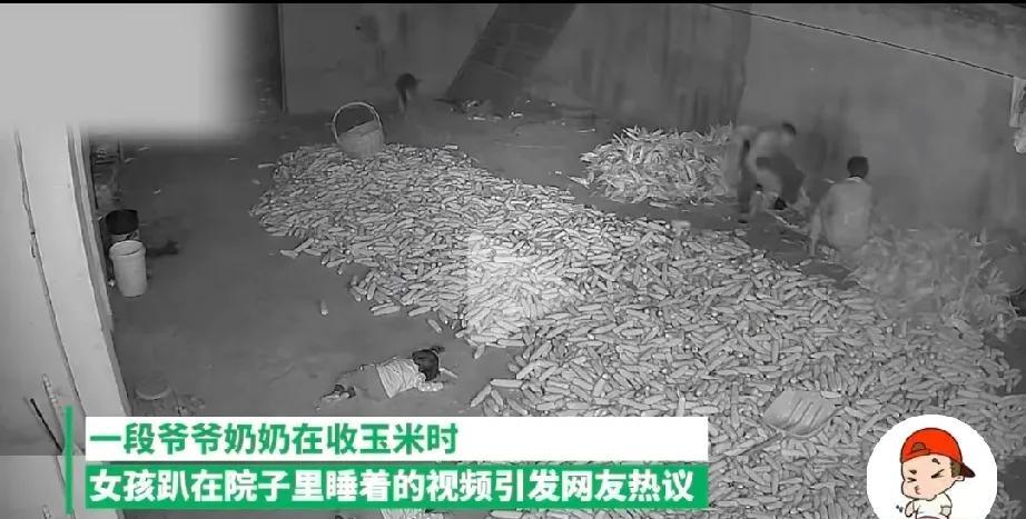 近日，一则爷爷奶奶扒玉米，女童趴院里独自睡着，妈妈：看到很心疼，十一就接走的视频