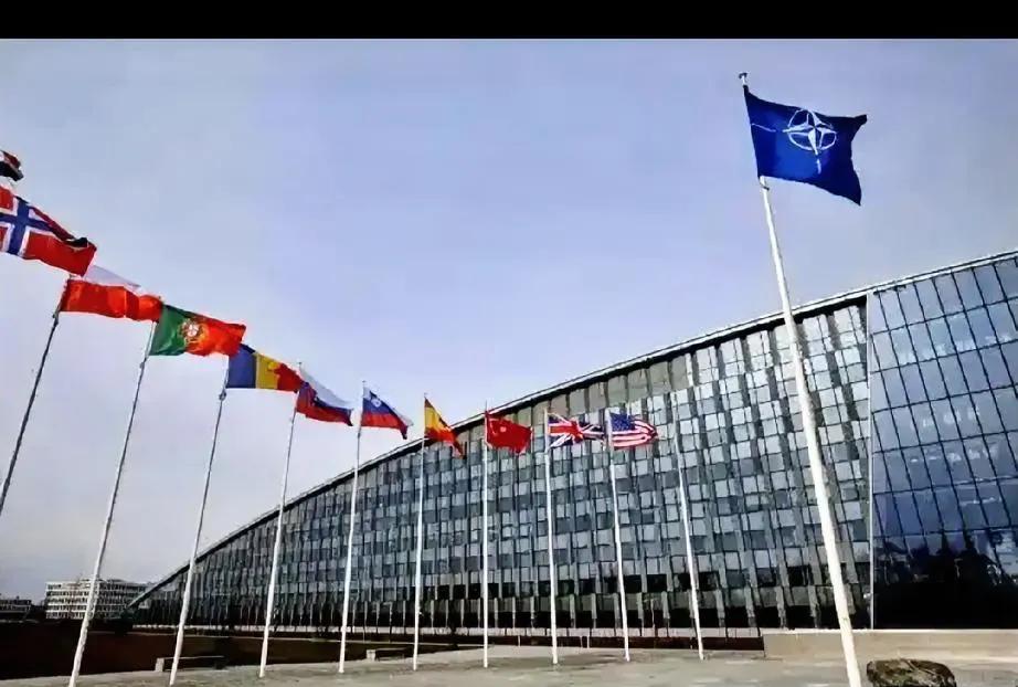 北约正在帮美国掘井，只等美亚洲盟友往里跳，可哪知道，日韩澳根本就不上套。
大家都