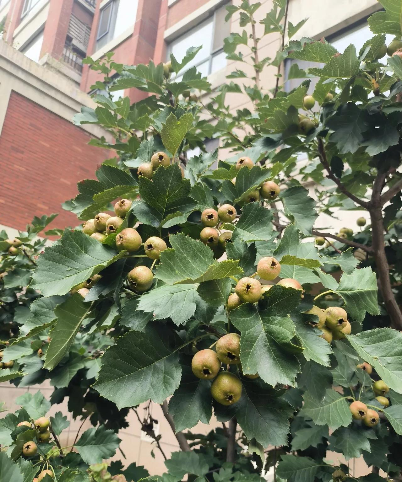 某韩姓歌手出轨致人怀孕，这样的消息大家不必在意，也不用义愤填膺怎么样怎么。不管是