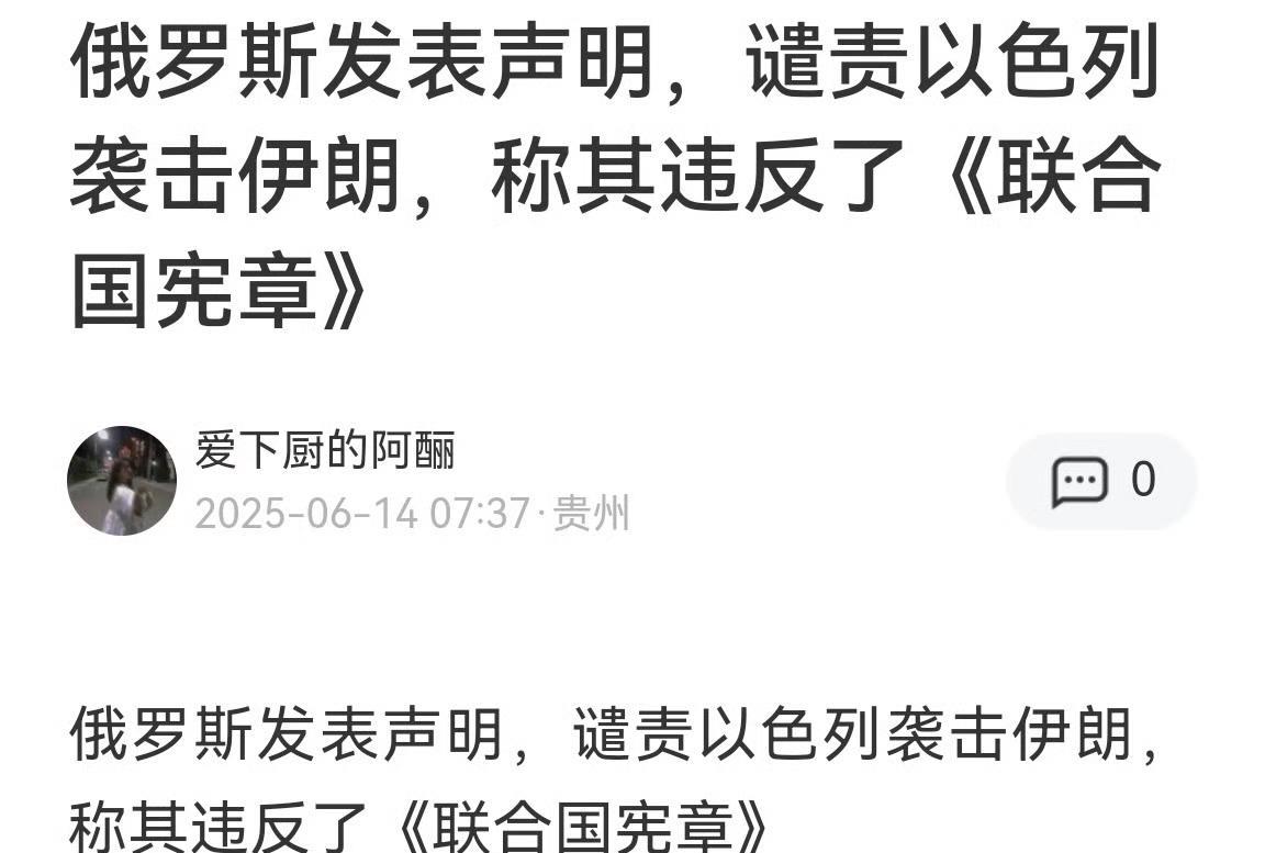 联合国宪章成狗皮膏药了